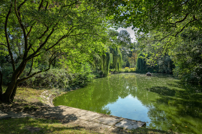 Schöner Teich mit Bäume im Stadtteil Berlin Steglitz-Zehlendorf